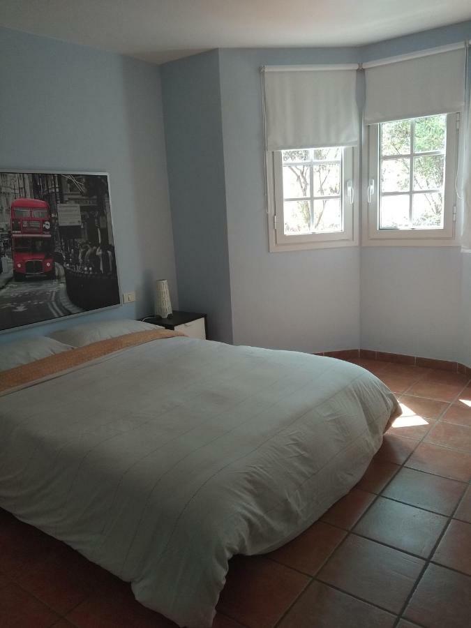 Acogedor Tenerife Norte 圣乌尔苏拉 外观 照片